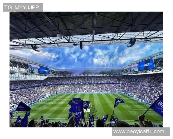 水晶宫与埃弗顿精彩对决全场录像回放及赛后分析